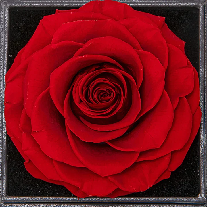 Rosenbox - Weißgold Ausführung Kreis Halskette - An meine Mama - Muttertagsgeschenk - Image 8