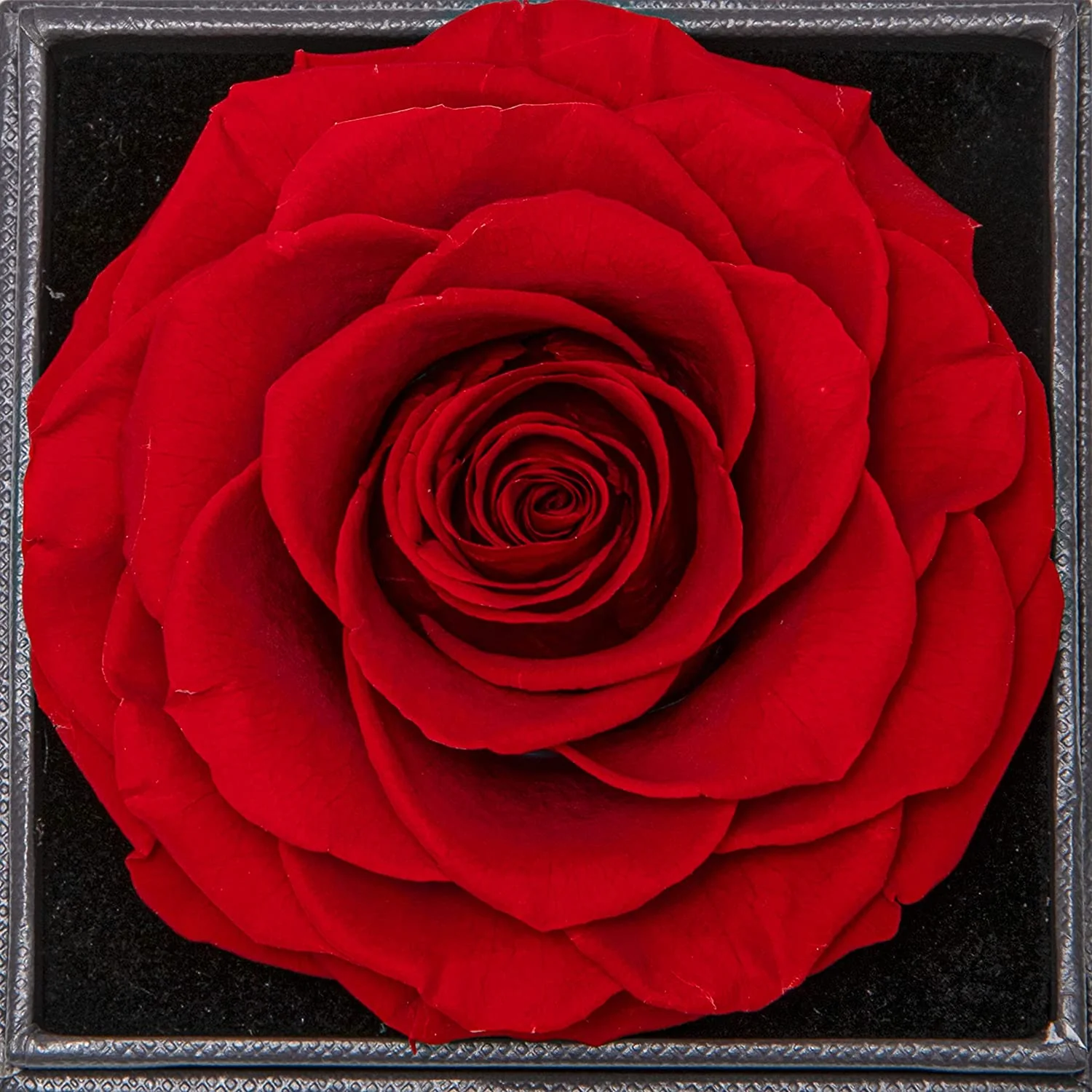 Rosenbox mit Halskette - An unsere Tochter von Mama & Papa - Image 8